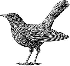 HR Platform illustration